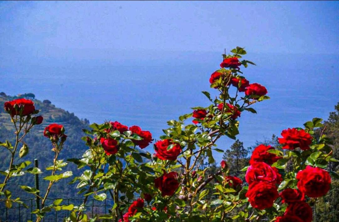 Ca Du Bene Villa Vernazza Ngoại thất bức ảnh