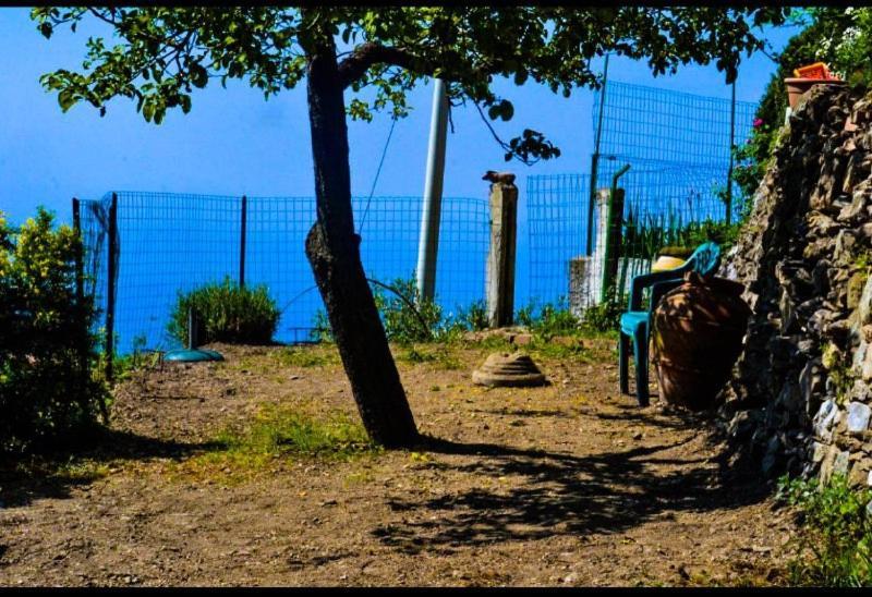 Ca Du Bene Villa Vernazza Ngoại thất bức ảnh